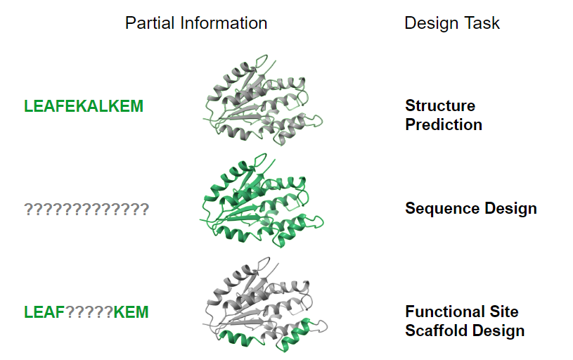Deep Learning for Designing Proteins Scaffolding Functional Sites
